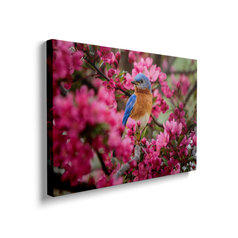 Tablou Canvas Pink Flovers with Bird [1]