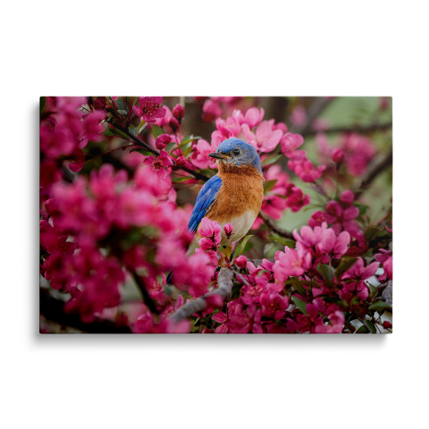 Tablouri Canvas Animale - Tablou Canvas Pink Flovers with Bird