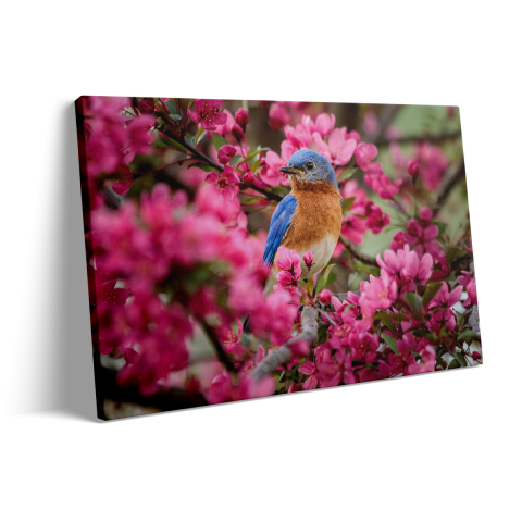 Tablou Canvas Pink Flovers with Bird [2]