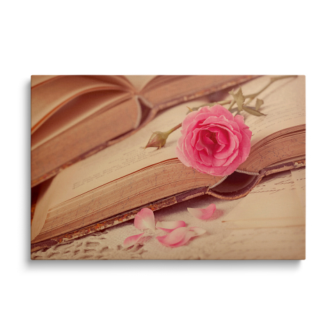 Tablouri Canvas Flori - Tablou Canvas Pink Rose