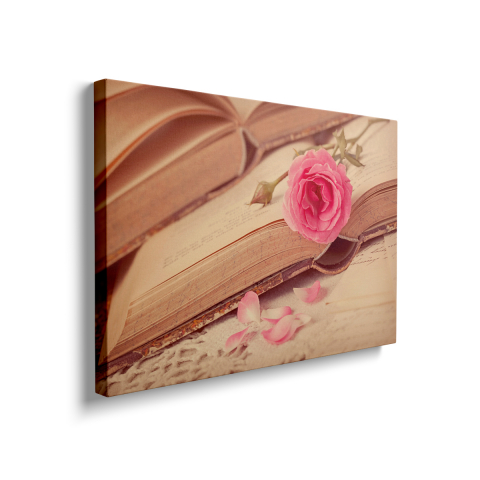 Tablou Canvas Pink Rose [1]
