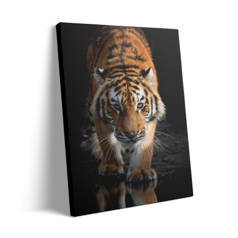 Tablou Canvas Tiger [2]