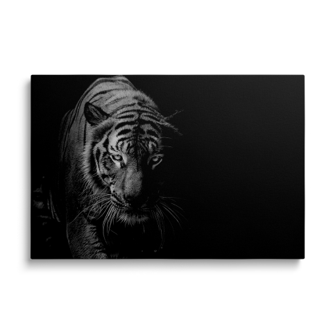 Tablouri Canvas Animale - Tablou Canvas Tigru alb