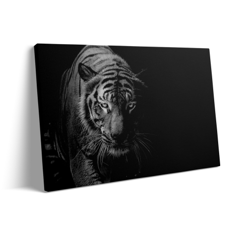 Tablou Canvas Tigru alb [2]