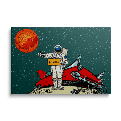 Tablouri Canvas Science Fiction - Tablou Canvas To Mars