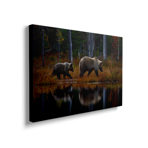 Tablou Canvas Ursi in Calatorie [1]