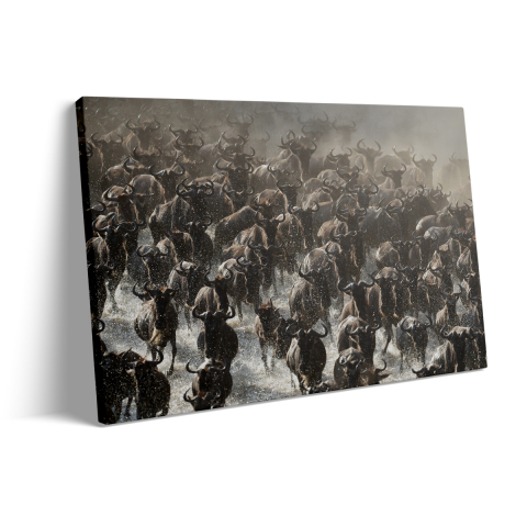 Tablou Canvas Migratie [2]