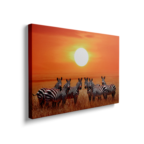 Tablou Canvas Zebre la Apus [1]