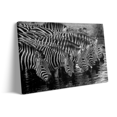 Tablou Canvas Zebras Drinking Water [2]