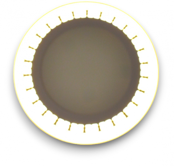 Aplica LED cu model dantelat bicolor 16W lumina calda + rece [3]