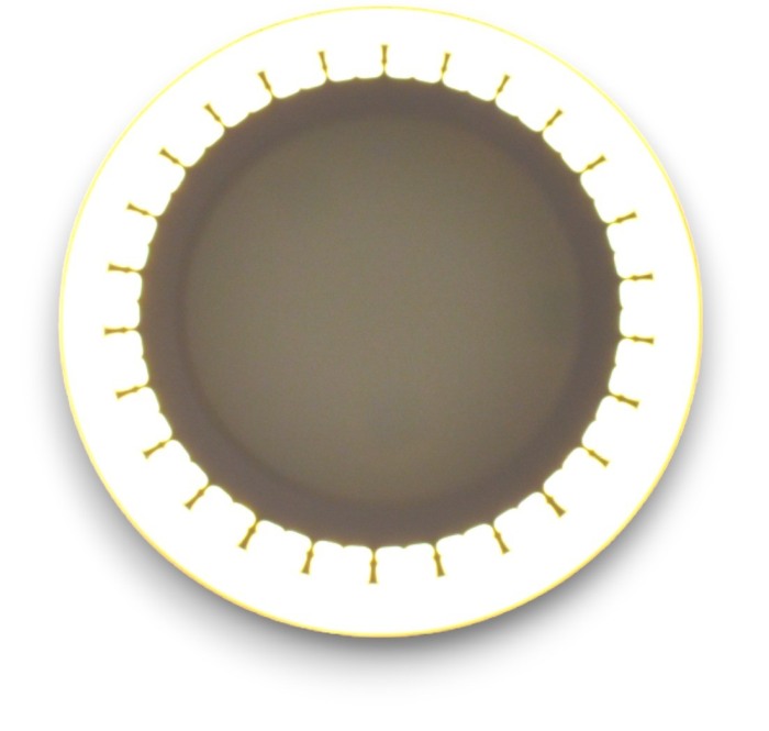 Aplica LED cu model dantelat bicolor - Imagine produs en-gros [3]