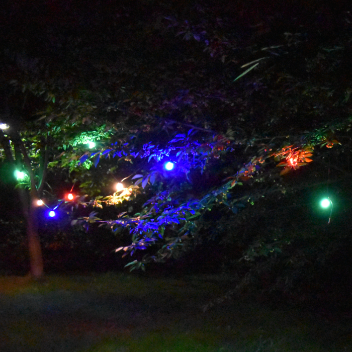 Ghirlanda 10 metri 10 lumina colorata calda  albastra verde rosie [2]