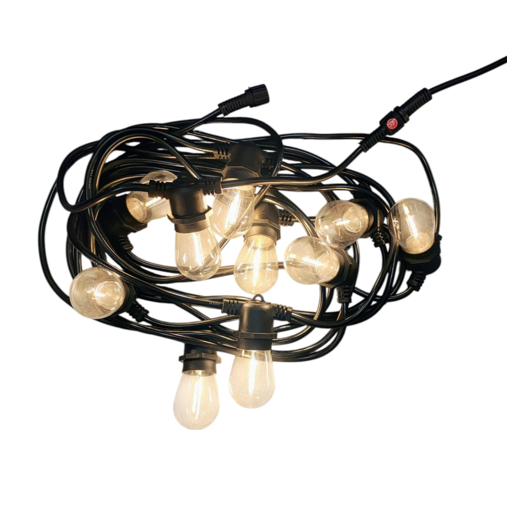 ghirlanda-luminoasa-exterior-10-becuri-1w-220v.jpg [1]