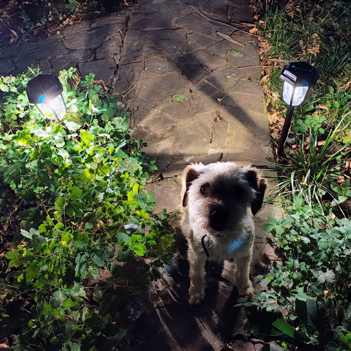 Lampa Solara LED Exterior Iluminare Puternica Senzor de Miscare Rezistenta la Apa IP65 Autonomie Mare Design Modern pentru Gradina ecoleduri.ro [3]