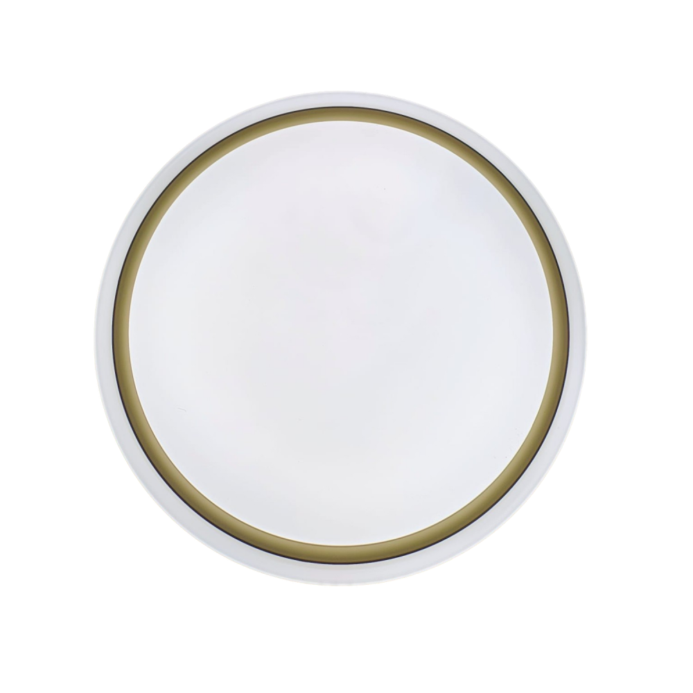 Plafoniera led jad de platina cu telecomanda 48W 35cm  dimabila 3 temperaturi de culoare ajustabile  3000K/4500K/6500K - Imagine produs en-gros [2]