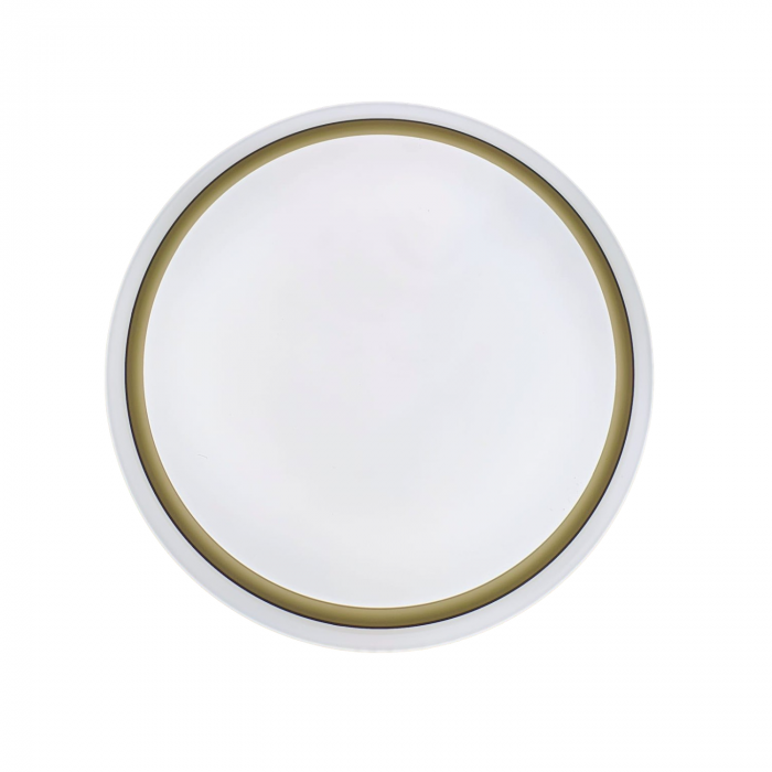 Plafoniera led cu telecomanda 48W 35cm dimabila 3 temperaturi de culoare ajustabile  3000K/4500K/6500K [2]