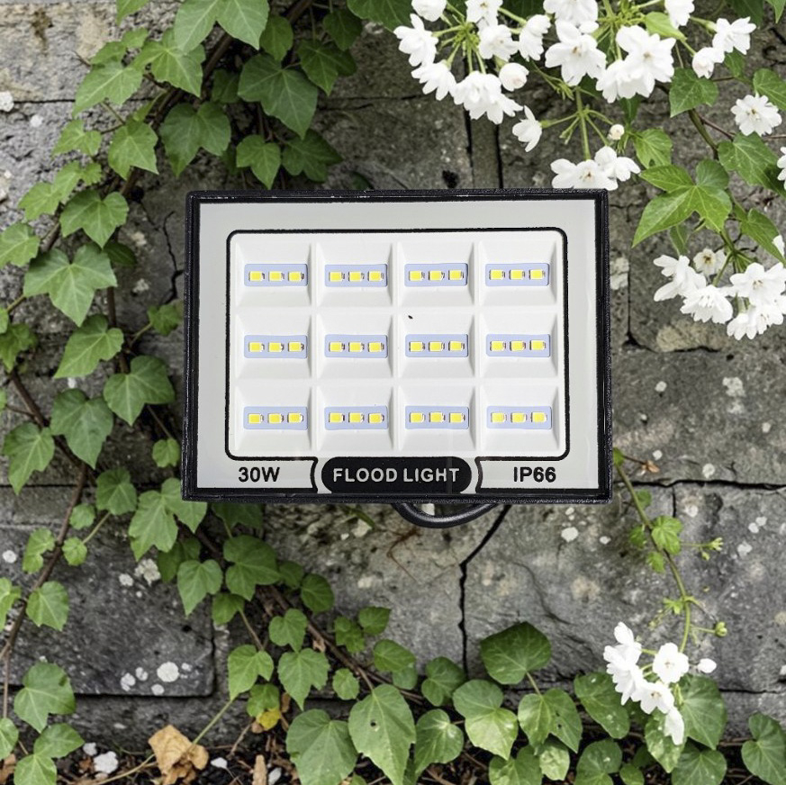 Proiector LED 30W 6500K IP66 montat la exterior pentru iluminarea garaj [2]