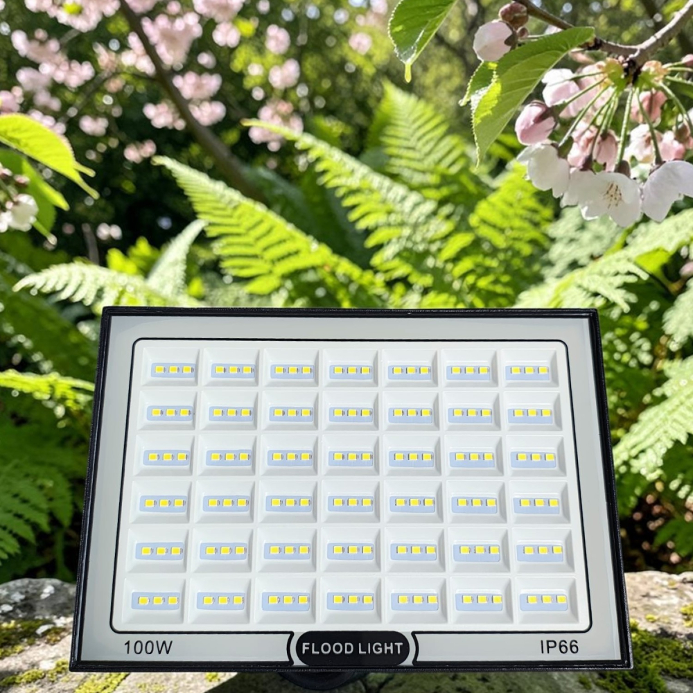 Proiector LED 100W 6500K IP66 montat la exterior pentru iluminarea descriere [3]