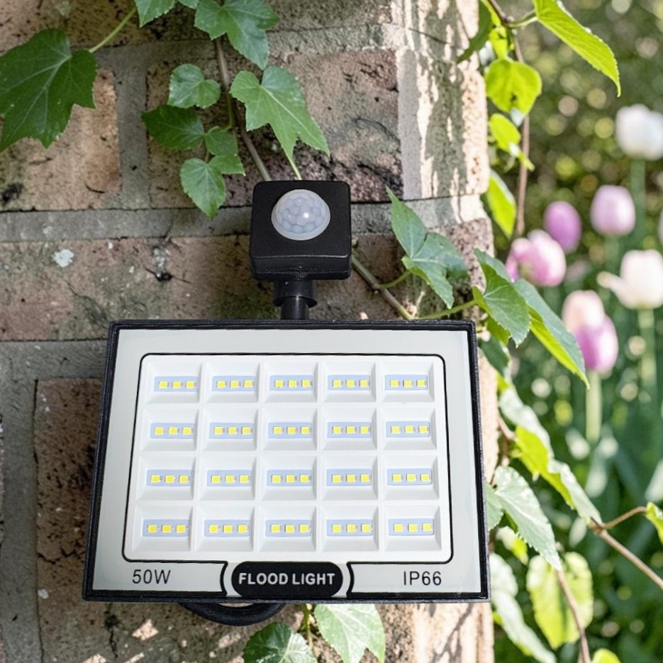Proiector LED 50W 6500K IP66 montat la exterior pentru iluminarea descriere [2]