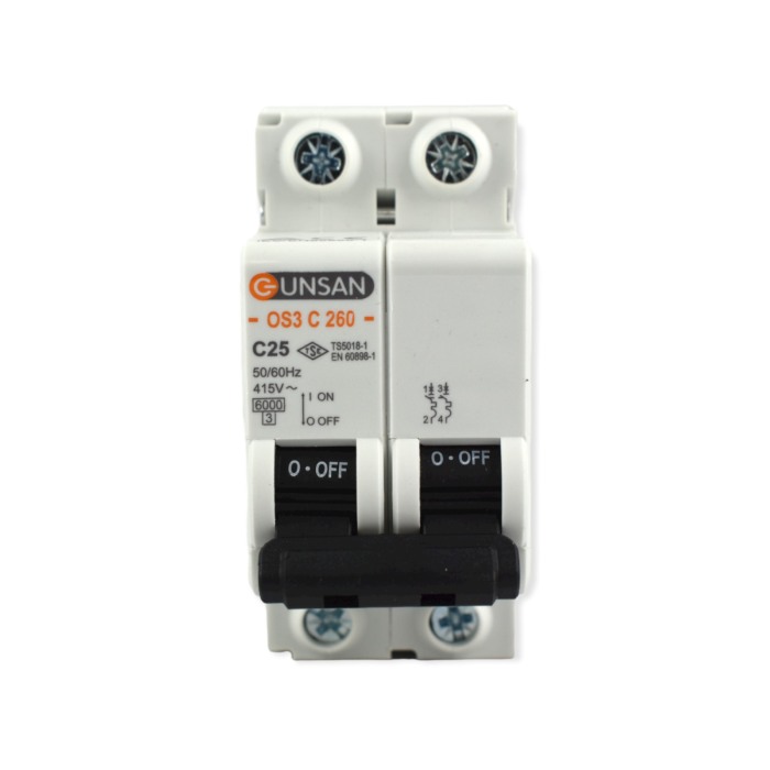 SIGURANTA 2P 25A GS - Imagine produs en-gros [4]