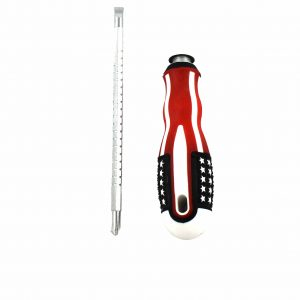 SURUBELNITA AMERICA [2]