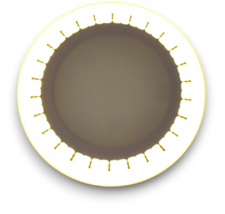 Aplica LED cu model dantelat bicolor 16W lumina calda + rece [2]