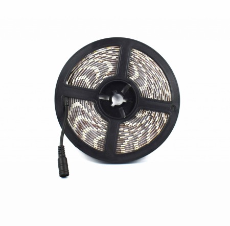 Banda Led - Banda Led 5050 Lum Rece 12V - Imagine produs en-gros