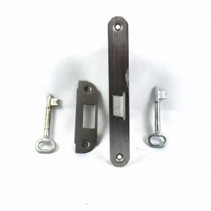 Broasca Fanem NT (05 Lemn P) [1]