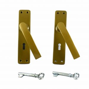 Pachet Broasca P54 (BR P54+SILD) [1]