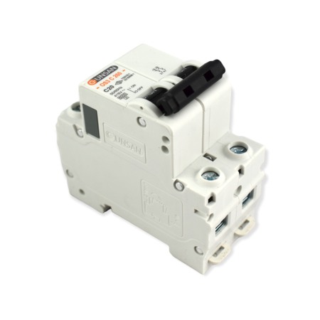 Sigurante - SIGURANTA 2P 20A GS - Imagine produs en-gros