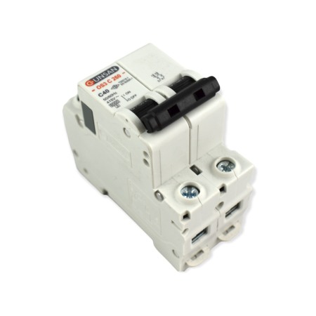 Sigurante - SIGURANTA 2P 40A GS - Imagine produs en-gros