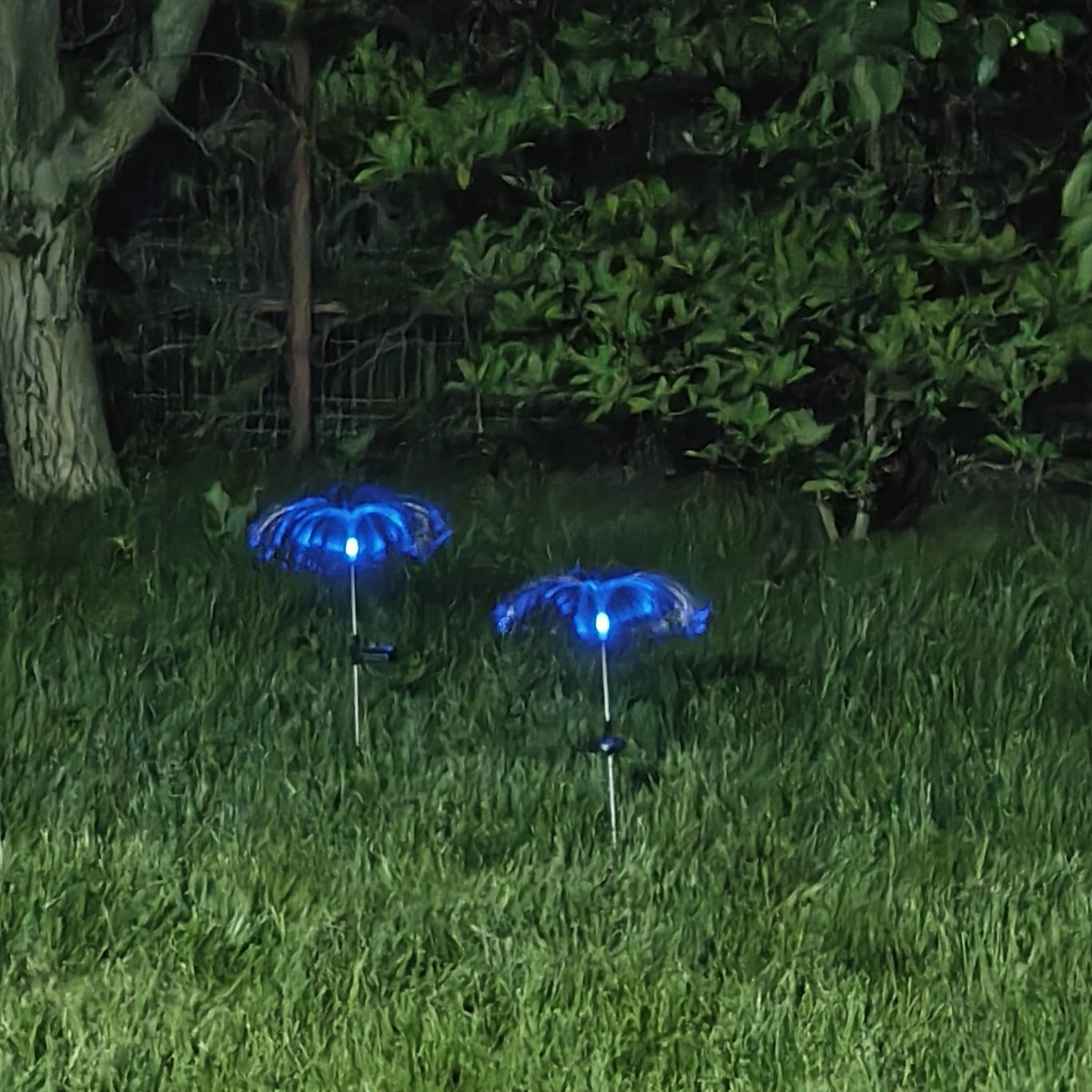 decoratiune-solara-led-gradina-fibra-optica-multicolor-ecoleduri [6]