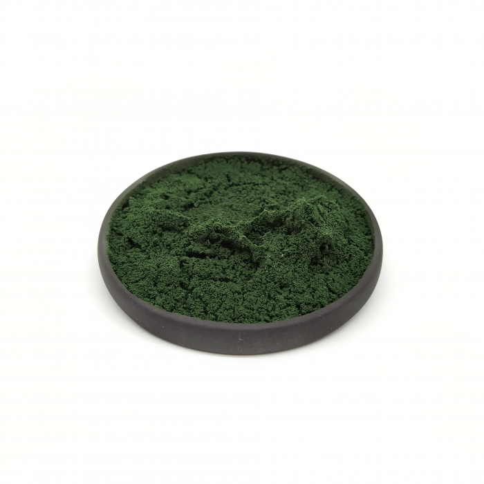 Introspection brooch I - Daniela Cățoi [2]