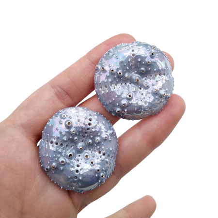 Nature's Hidden Beauties - Blue sea urchin earrings - Daniela Cățoi