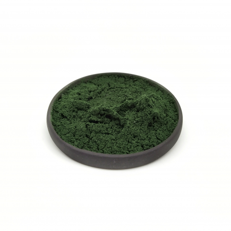 Introspection brooch I - Daniela Cățoi [1]