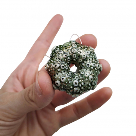Pearly - Green sea urchin pendant - Daniela Cățoi