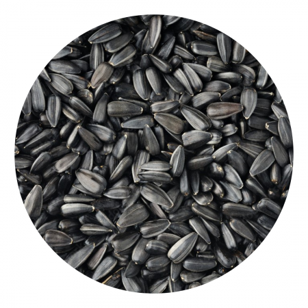Sunflower seeds - Black Sunflowers