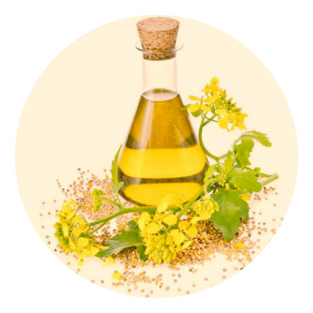 Products - Rapeseed oil