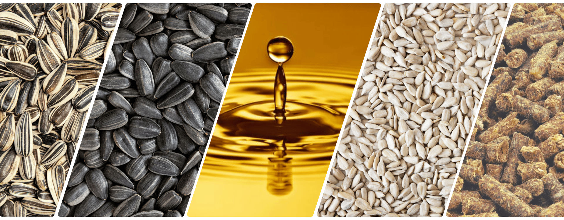 Discover Our Product Range – Quality and Innovation in Every Detail