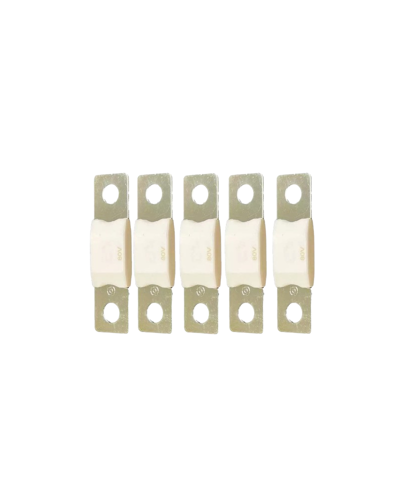 MEGA-fuse 225A 80V (package of 5 pcs)