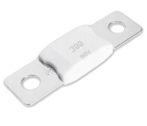 Victron Energy MEGA-fuse 300A 80V ceramic(5 pcs)