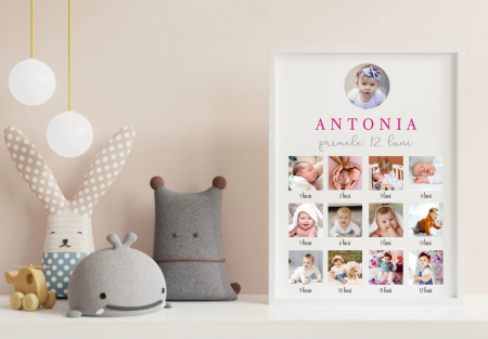 Tablouri - Tablou personalizat primele 12 luni