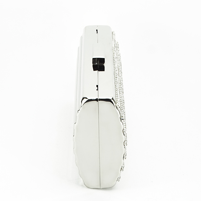 Clutch elegant B-V-186BB 05  Argintiu [4]