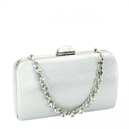 Geanta clutch eleganta B-BJH-22703 05 Argintiu [1]