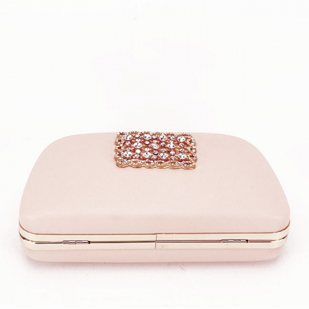 Clutch decorat cu brosa B-LK5672 06 Roz [4]