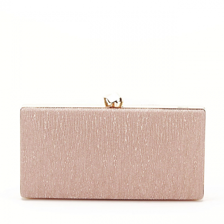 Geanta clutch sampanie cu sclipici B-ABYH-809 06 [3]