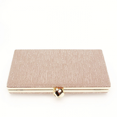 Geanta clutch sampanie cu sclipici B-ABYH-809 06 [5]