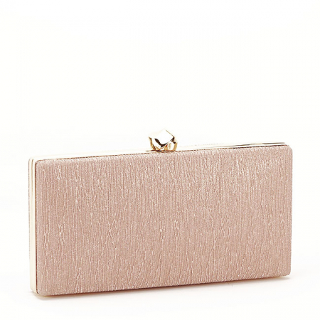Geanta clutch sampanie cu sclipici B-ABYH-809 06 [1]