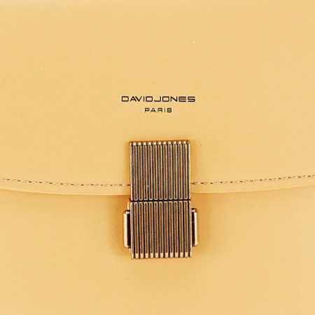 Geanta David Jones B-CM6425 15 Galben pal [6]