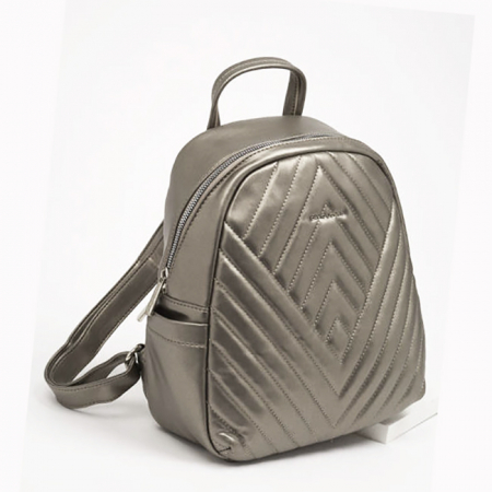 Rucsacuri - Rucsac casual David Jones B-6724-4 19 Argintiu